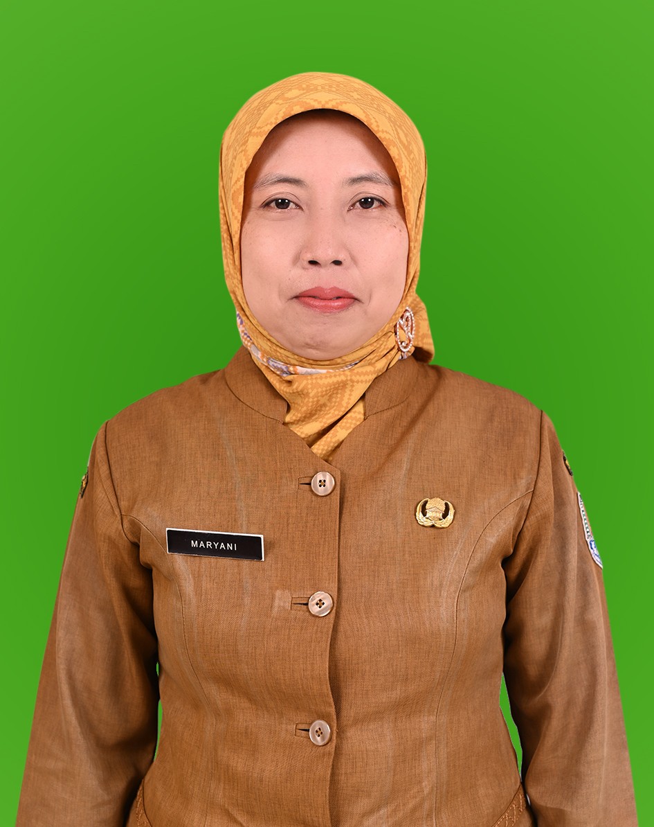 MARYANI, S.Kom