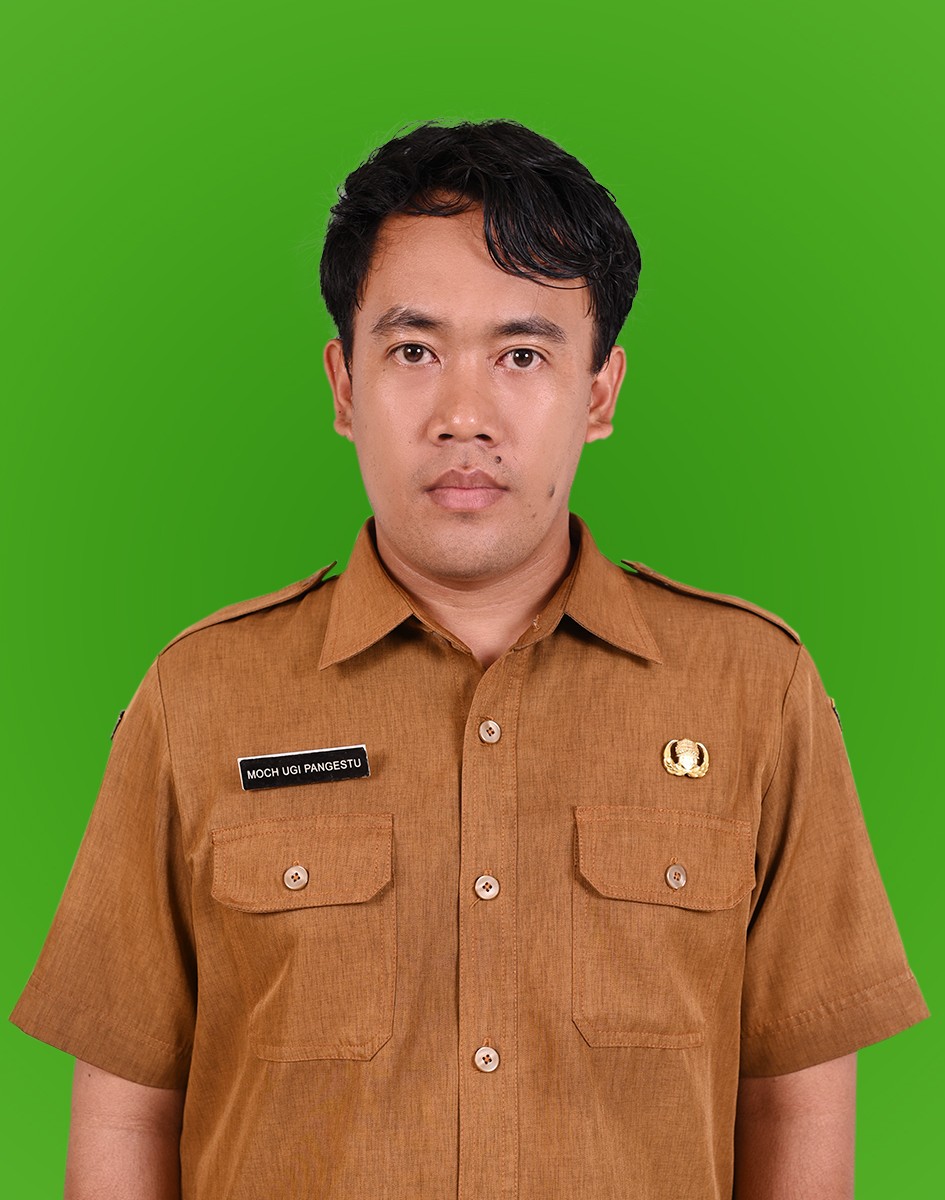 MOCHAMAD UGI PANGESTU, S.Kom
